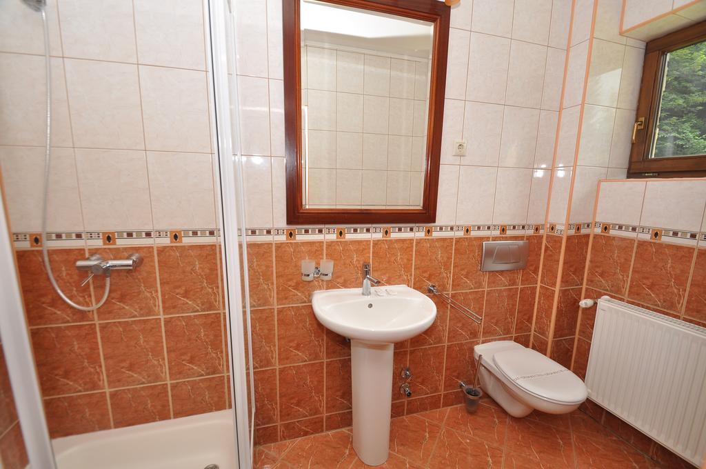 Pensiunea Denisa Lunca Bradului Bagian luar foto